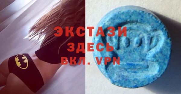индика Богородск