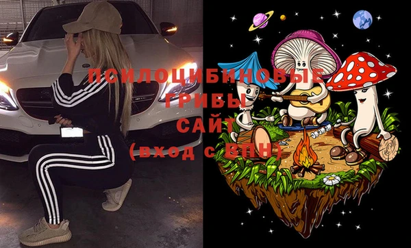 spice Богородицк