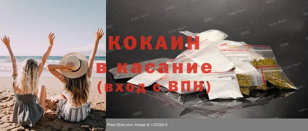 гидра Богданович