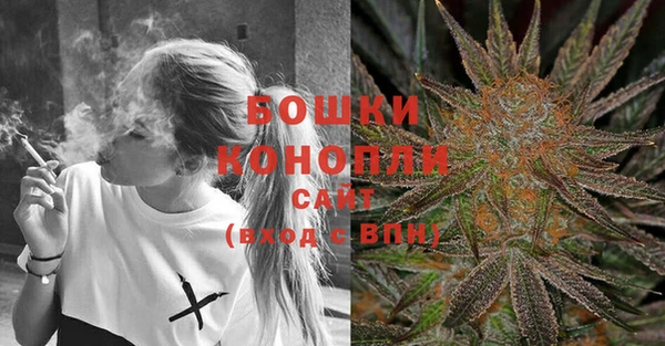 spice Богородицк