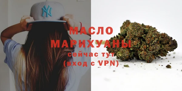 spice Богородицк