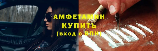 гидра Богданович