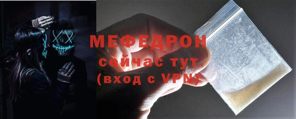 индика Богородск