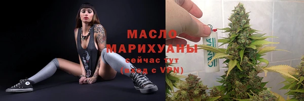 индика Богородск