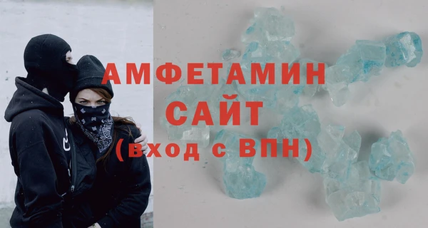 индика Богородск