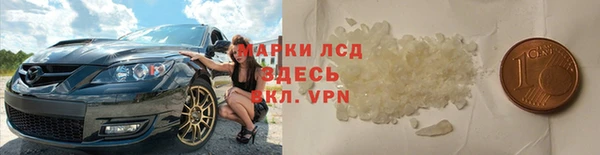spice Богородицк