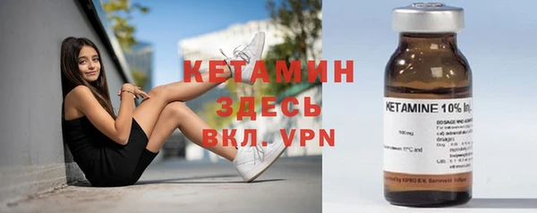 индика Богородск