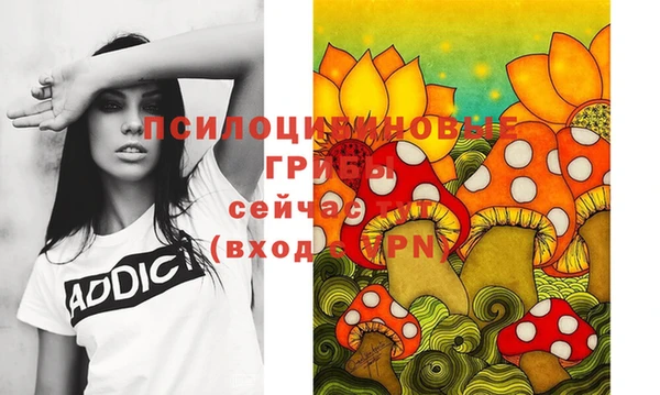 индика Богородск