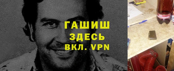 гидра Богданович