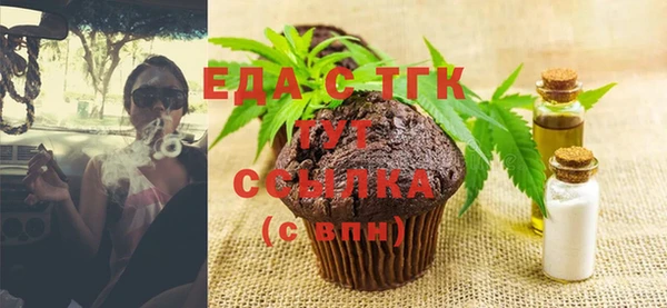 индика Богородск