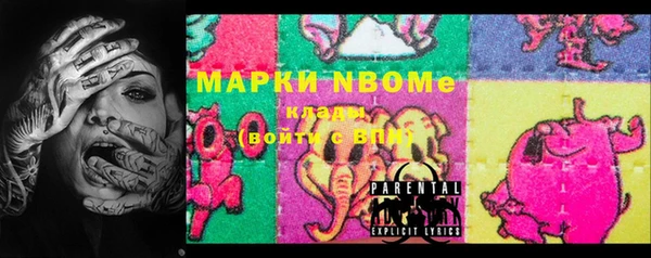 индика Богородск
