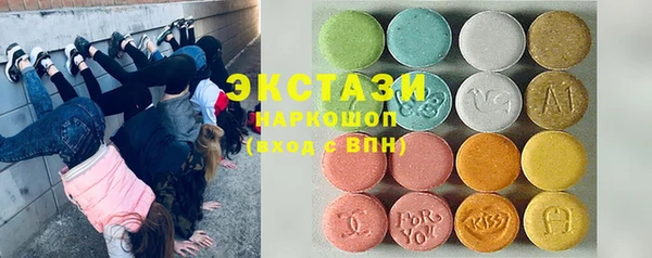 гидра Богданович