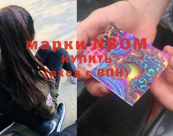 spice Богородицк