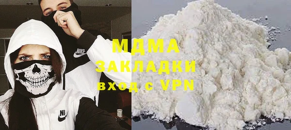 индика Богородск