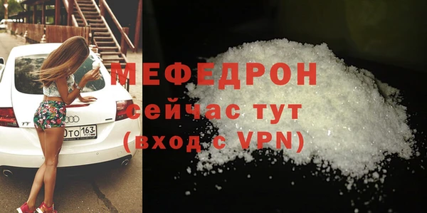 индика Богородск
