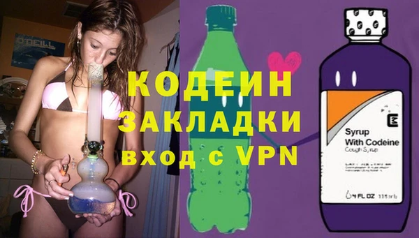 гидра Богданович