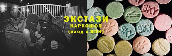 гидра Богданович