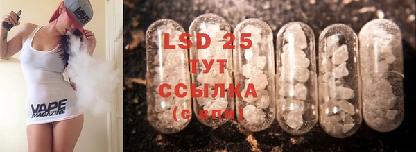 spice Богородицк