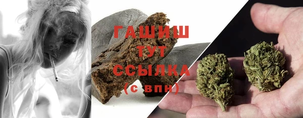spice Богородицк